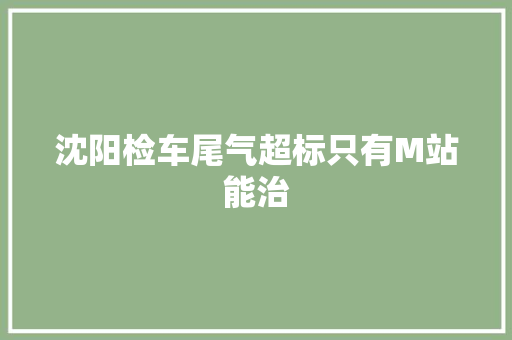 沈阳检车尾气超标只有M站能治