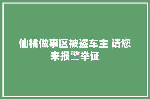 仙桃做事区被盗车主 请您来报警举证