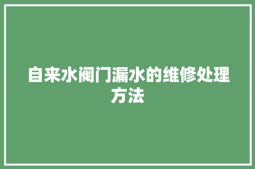 自来水阀门漏水的维修处理方法
