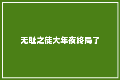 无耻之徒大年夜终局了
