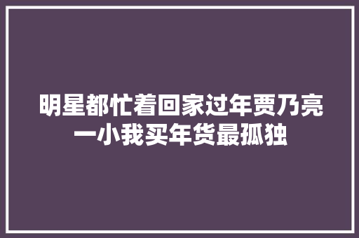 明星都忙着回家过年贾乃亮一小我买年货最孤独
