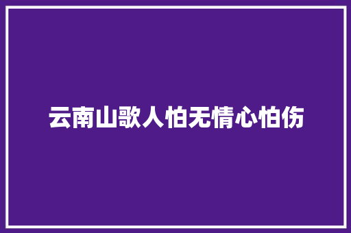 云南山歌人怕无情心怕伤