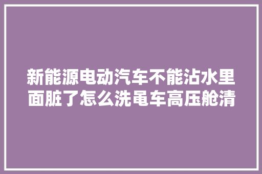 新能源电动汽车不能沾水里面脏了怎么洗黾车高压舱清洗机