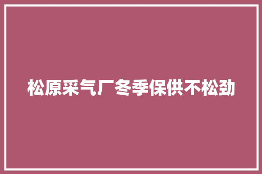 松原采气厂冬季保供不松劲