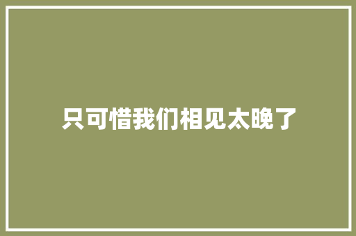 只可惜我们相见太晚了