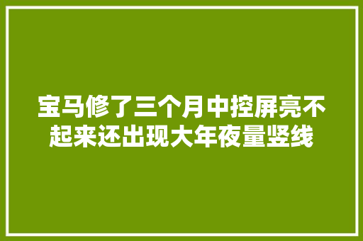 宝马修了三个月中控屏亮不起来还出现大年夜量竖线