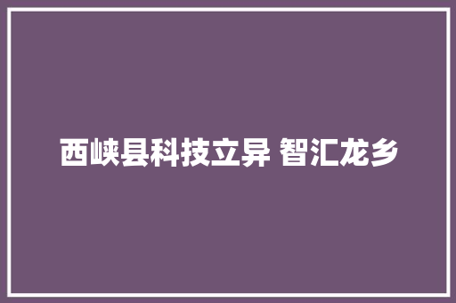 西峡县科技立异 智汇龙乡