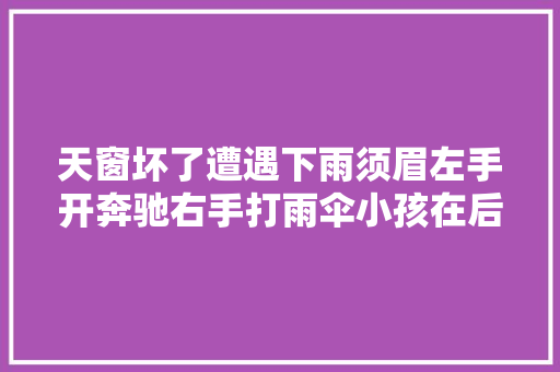 天窗坏了遭遇下雨须眉左手开奔驰右手打雨伞小孩在后边摄影