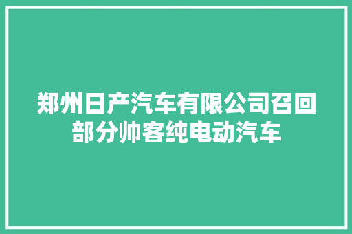 郑州日产汽车有限公司召回部分帅客纯电动汽车