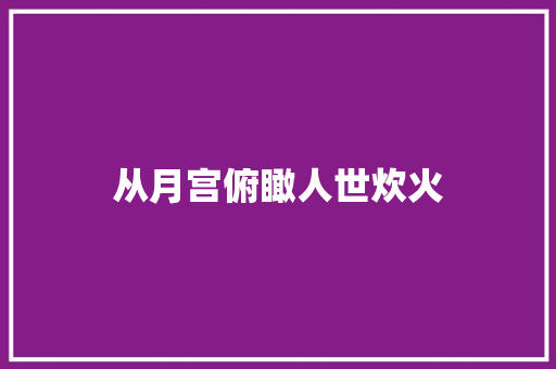 从月宫俯瞰人世炊火
