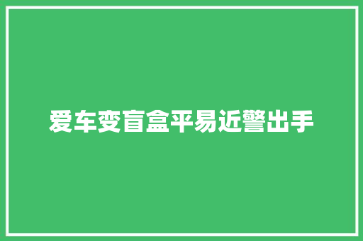 爱车变盲盒平易近警出手