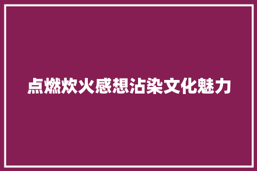 点燃炊火感想沾染文化魅力