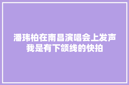 潘玮柏在南昌演唱会上发声我是有下颌线的快拍