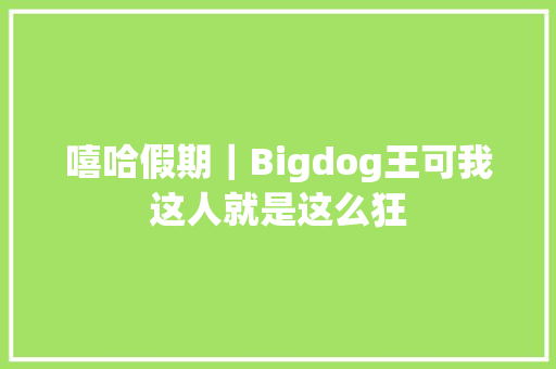 嘻哈假期｜Bigdog王可我这人就是这么狂