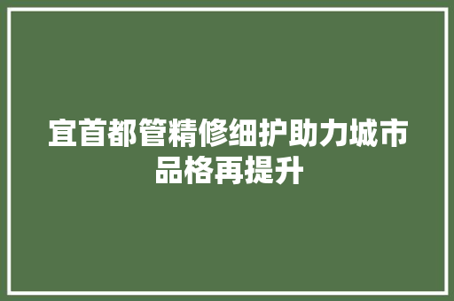 宜首都管精修细护助力城市品格再提升