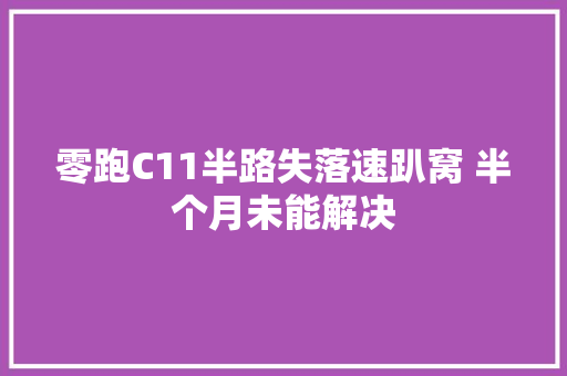 零跑C11半路失落速趴窝 半个月未能解决