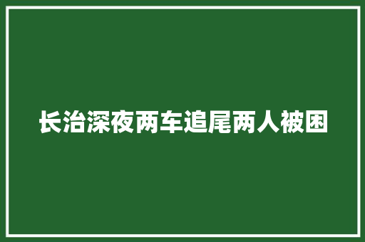 长治深夜两车追尾两人被困
