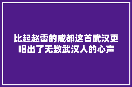 比起赵雷的成都这首武汉更唱出了无数武汉人的心声
