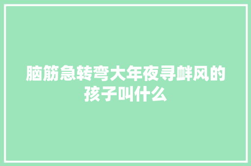 脑筋急转弯大年夜寻衅风的孩子叫什么