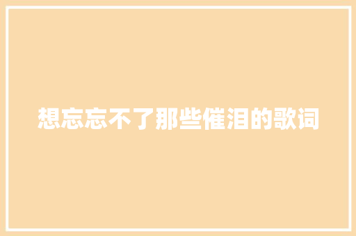 想忘忘不了那些催泪的歌词