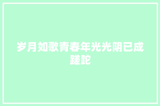 岁月如歌青春年光光阴已成蹉跎