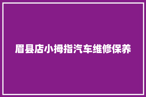 眉县店小拇指汽车维修保养