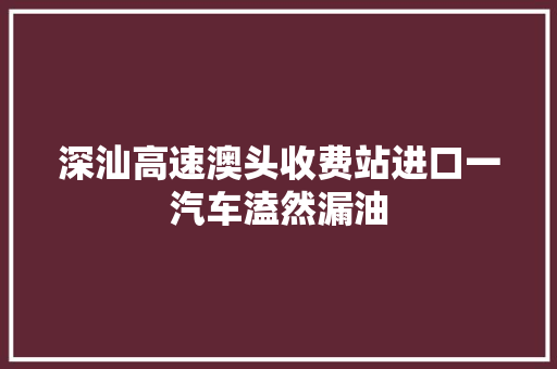 深汕高速澳头收费站进口一汽车溘然漏油