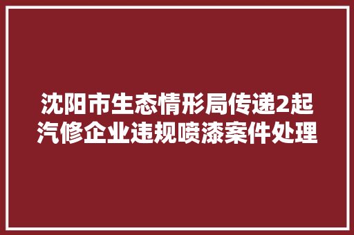 沈阳市生态情形局传递2起汽修企业违规喷漆案件处理情况