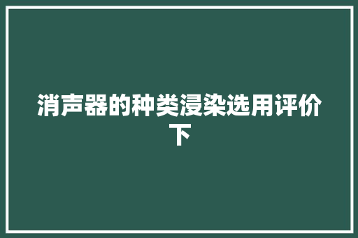 消声器的种类浸染选用评价下