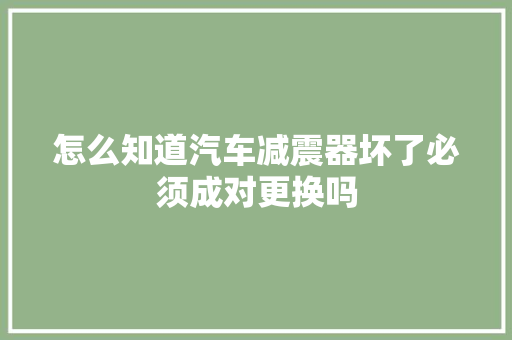 怎么知道汽车减震器坏了必须成对更换吗