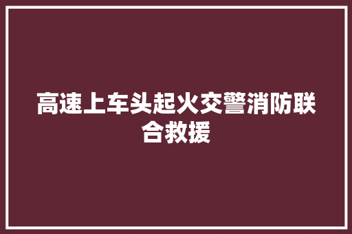 高速上车头起火交警消防联合救援