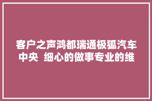 客户之声鸿都瑞通极狐汽车中央  细心的做事专业的维修 汽车知识