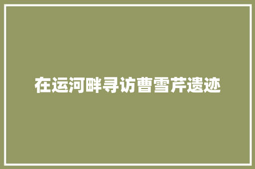 在运河畔寻访曹雪芹遗迹