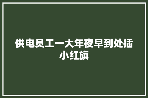 供电员工一大年夜早到处插小红旗