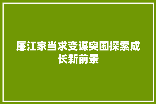 廉江家当求变谋突围探索成长新前景
