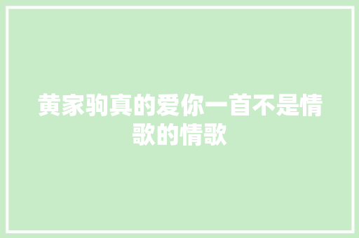 黄家驹真的爱你一首不是情歌的情歌
