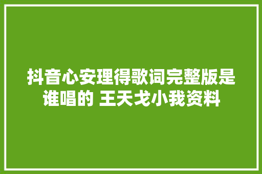 抖音心安理得歌词完整版是谁唱的 王天戈小我资料