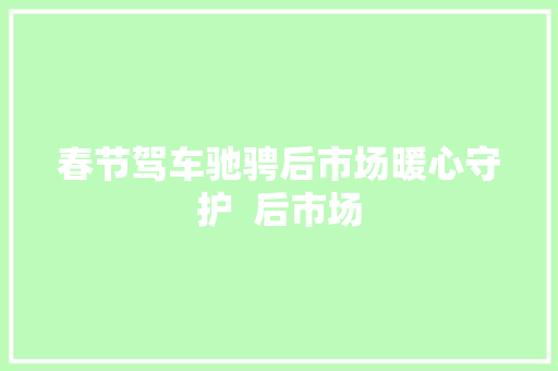 春节驾车驰骋后市场暖心守护  后市场