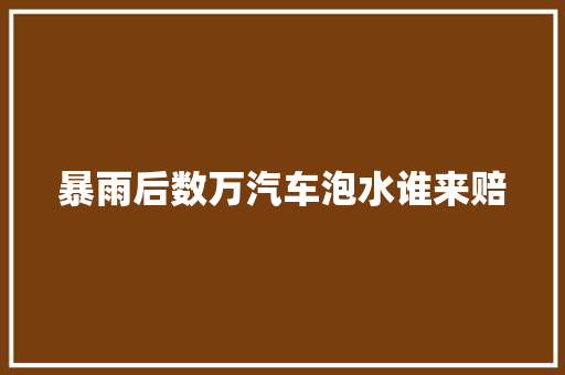 暴雨后数万汽车泡水谁来赔