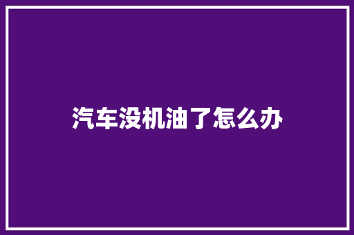 汽车没机油了怎么办