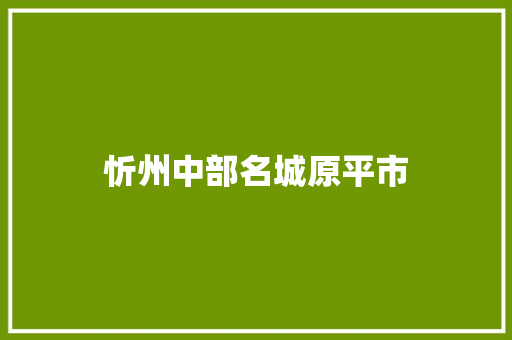 忻州中部名城原平市