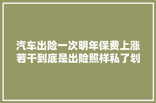 汽车出险一次明年保费上涨若干到底是出险照样私了划算