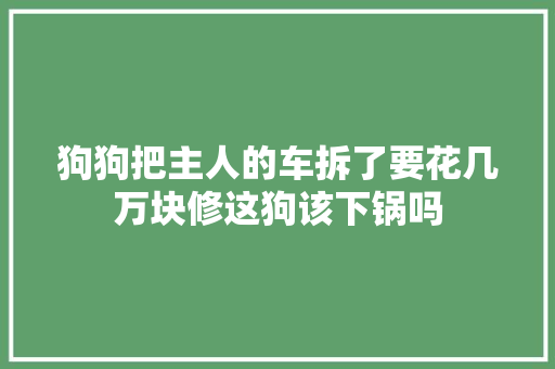 狗狗把主人的车拆了要花几万块修这狗该下锅吗