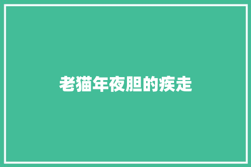 老猫年夜胆的疾走
