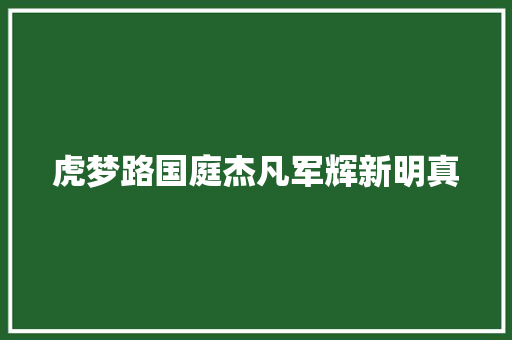 虎梦路国庭杰凡军辉新明真