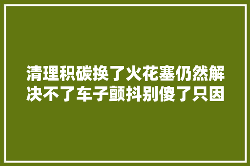 清理积碳换了火花塞仍然解决不了车子颤抖别傻了只因它没换