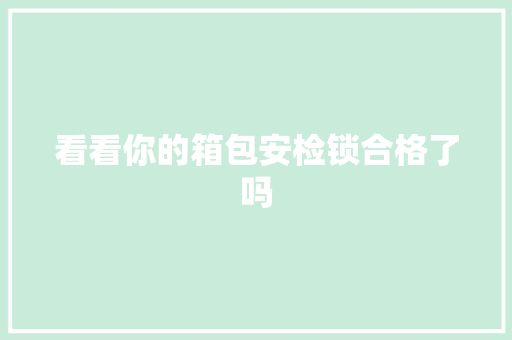 看看你的箱包安检锁合格了吗