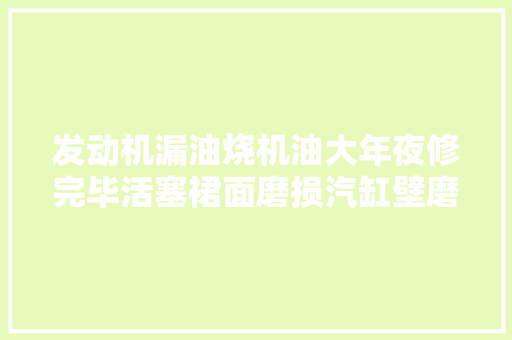 发动机漏油烧机油大年夜修完毕活塞裙面磨损汽缸壁磨损凹槽