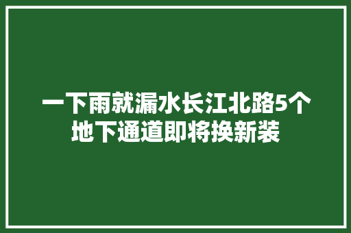 一下雨就漏水长江北路5个地下通道即将换新装