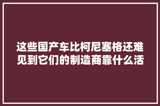 这些国产车比柯尼塞格还难见到它们的制造商靠什么活下来的